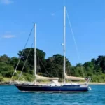 vente_mikado_bretagne_foret_fouesnant
